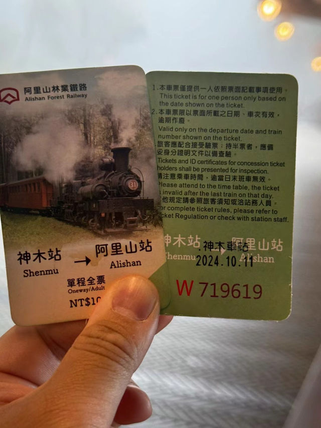在神木與小火車之間，聽見時光的回聲
