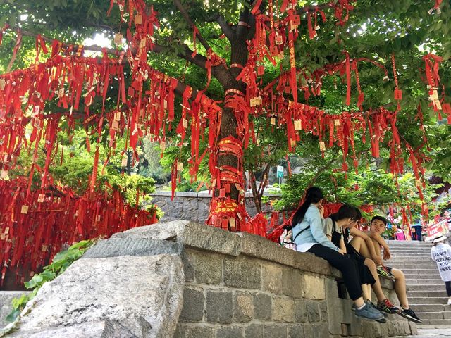 Mount Tai - Spectacular views 