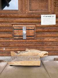 ชมวิถีชีวิตปลาแซลมอนว่านทวนน้ำ 