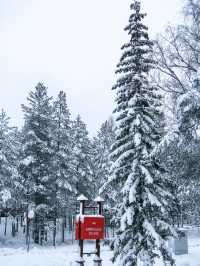 Christmas Season is coming in Rovaniemi 🇫🇮