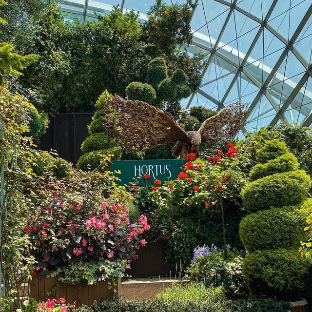 Flower Dome Singapore 🌼