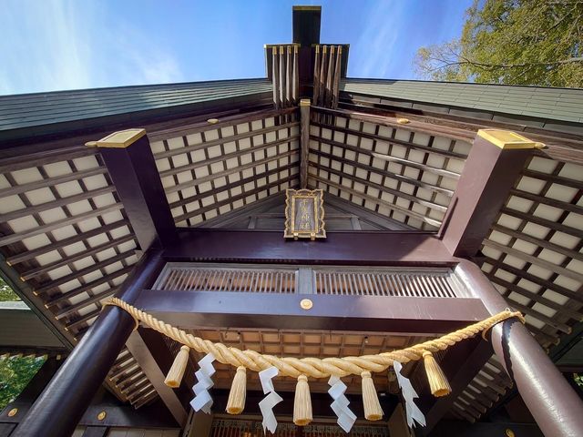 Chitose Shrine 🇯🇵