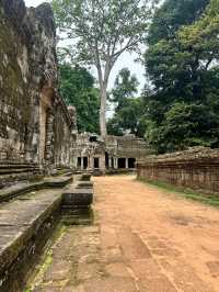 Life changing Angkor Wat, A Real World Wonder 🇰🇭 🛕 