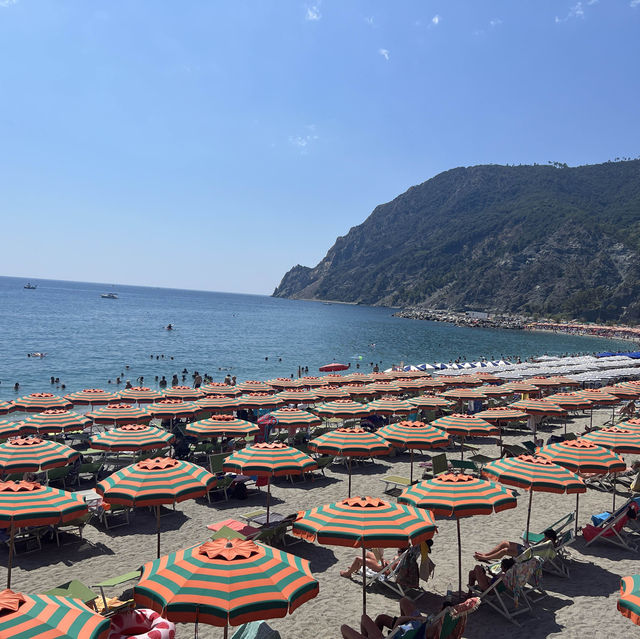 Cinque Terre Experience of a Lifetime!