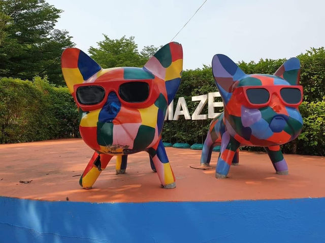 Pete Maze Thailand 🇹🇭 