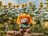 Changi airport sunflower decor 