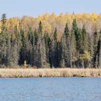 Autumn Kayaking at Red Lake 🍂🛶