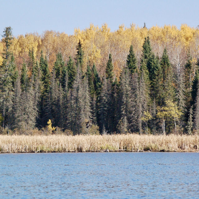 Autumn Kayaking at Red Lake 🍂🛶