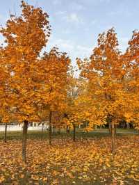 가을의 모스크바 🍂