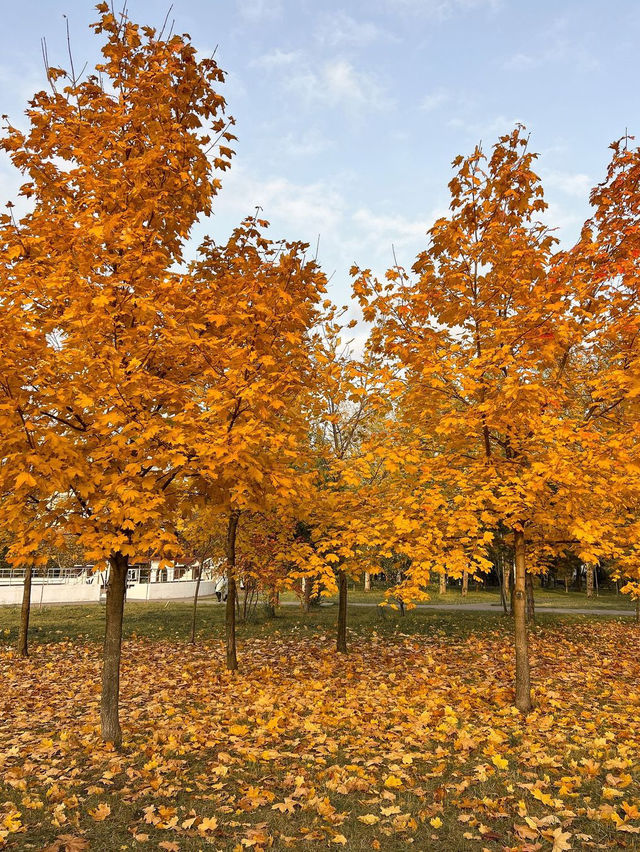 가을의 모스크바 🍂