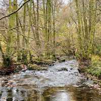 National Gem of Ullswater: Aira Force Adventure