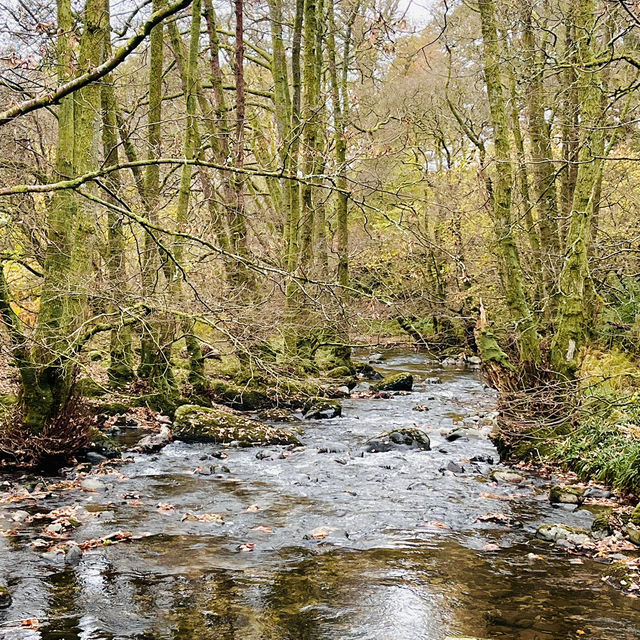 National Gem of Ullswater: Aira Force Adventure