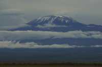Lemosho Route in 7 Days Trekking to Mount Kilimanjaro 2024-2026 