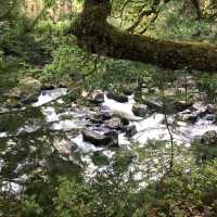 Wonderful walk through the hermitage