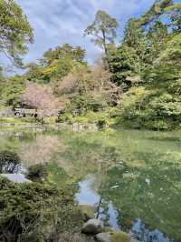 【金沢：兼六園】金沢旅なら外せない、兼六園で時間を忘れる癒しの散策🍃🚶