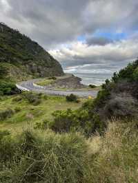 🌊🚗 The Ultimate Great Ocean Road Adventure: Wildlife & Iconic Views 🦘🐨