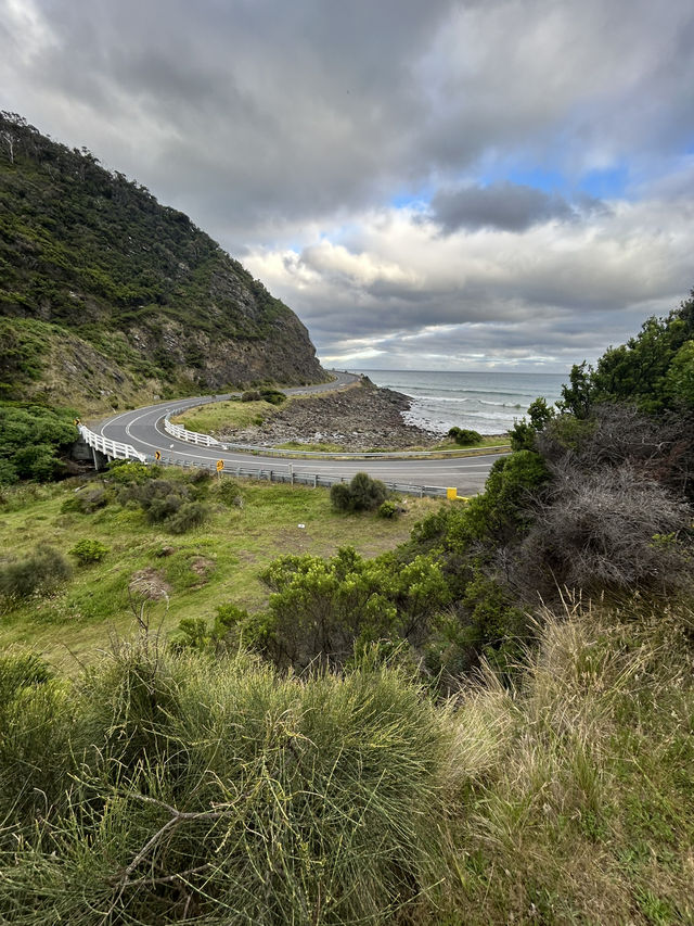 🌊🚗 The Ultimate Great Ocean Road Adventure: Wildlife & Iconic Views 🦘🐨