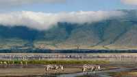 6 Days Mount Kilimanjaro Climbing, Machame Route