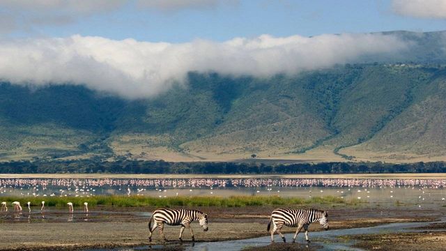 6 Days Mount Kilimanjaro Climbing, Machame Route