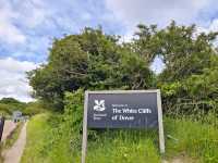Standing at the Edge of England: The Majestic White Cliffs of Dover
