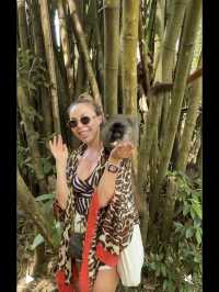 Lemuria Land