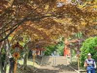 Fujikawaguchiko: A Peaceful Escape at the Foot of Mt. Fuji