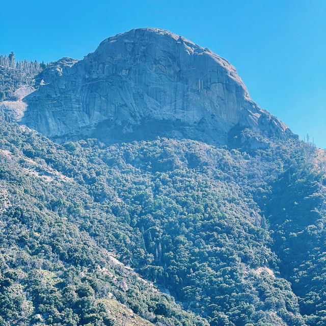🏔️ Kings Canyon National Park: California’s Underrated Wild Wonder