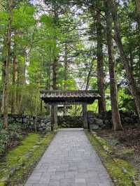 🌿 A Perfect Day in Nikko: Shrines, Nature & Local Sweets