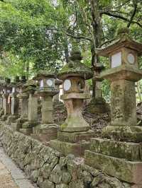 🦌 Nara Day Trip: What to See and How to Get There from Kyoto/Osaka
