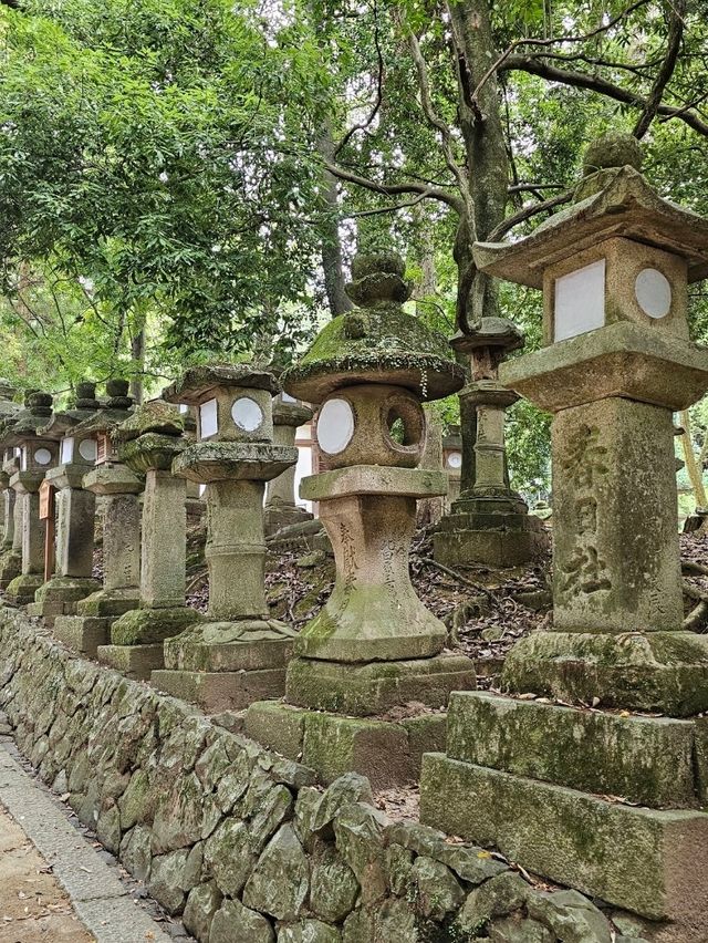🦌 Nara Day Trip: What to See and How to Get There from Kyoto/Osaka