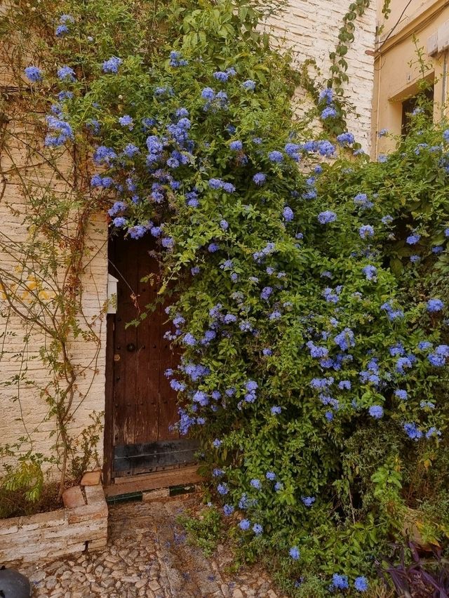 A Budget-Friendly 2-Day Trip to Granada for Under €100