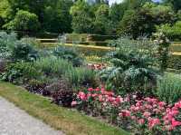 🌹✨ A Blooming Dream: Rose Garden of Baden-Baden, Germany 🇩🇪🌿
