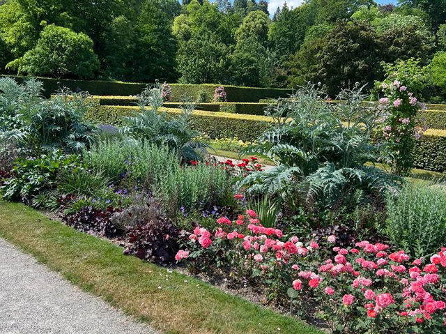🌹✨ A Blooming Dream: Rose Garden of Baden-Baden, Germany 🇩🇪🌿   🌹✨ A Blooming Dream: Rose Garden of Baden-Baden, Germany 🇩🇪🌿