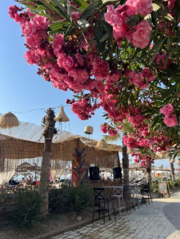 Sometimes all you need is a beach day 🏖️ 