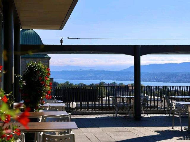 🇨🇭 Zurich in Every Light: Lakeside Serenity to City Nights ✨🌙