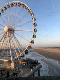 Top Halloween Attractions in Rotterdam 🎃👻