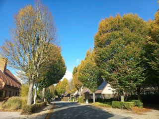 เวเวลเจมอันสงบสุข