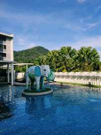 Ферма слонов, где запрещено кататься на них 🐘