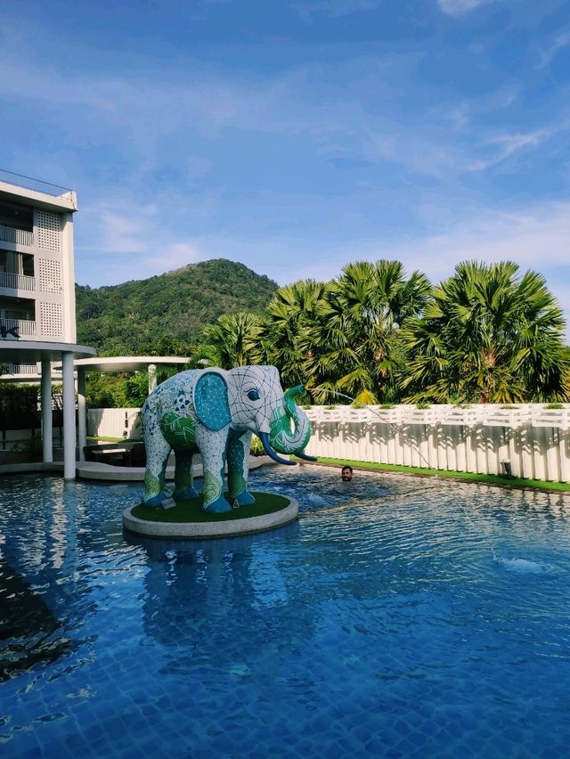 Ферма слонов, где запрещено кататься на них 🐘