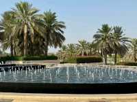 Modern Oasis Vibes🌴