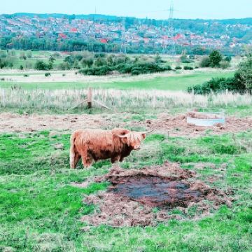Pentland Hills｜風、草坡與遠山，把城市的聲音都溶掉了