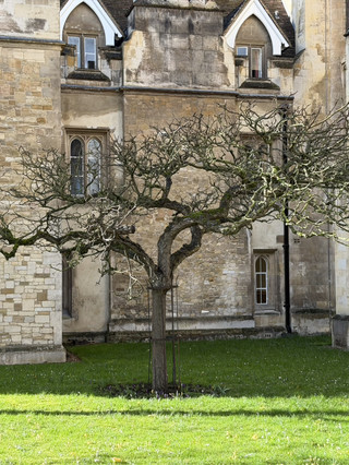 Cambridge Architectural and Cultural Highlights