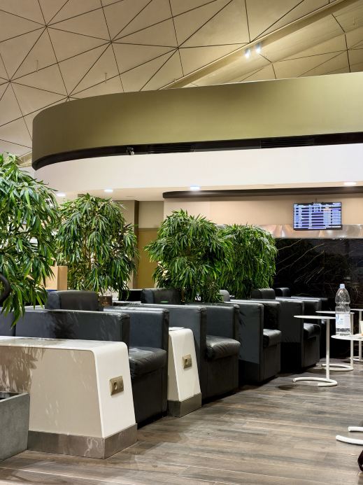 Pulkovo Airport Business Lounge: A Comfortable Place to Wait ✈️