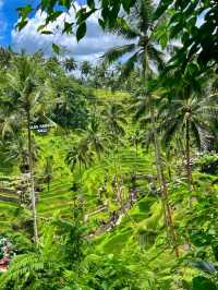 Cretya Ubud by Alas Harum✨