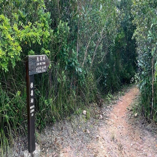 鬼手岩 一尖三咀四灣考牌 鬼手岩 一尖三咀四灣考牌