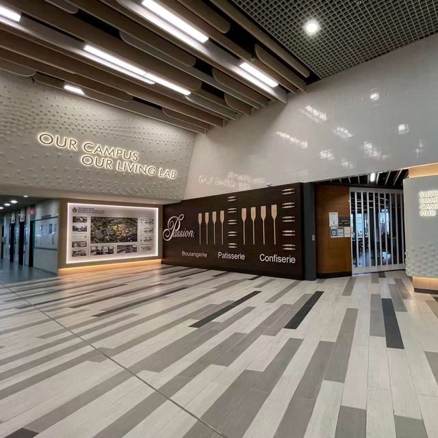 打卡香港科技大學