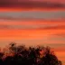 Whispering^Winds!42