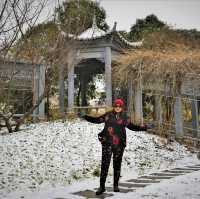 -5 Visit To QingLong Temple, Xi’an, China.