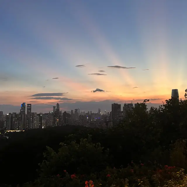 Stunning nighttime views of Shenzhen