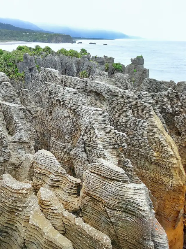 South Island, New Zealand: Greymouth/Pancake Rocks